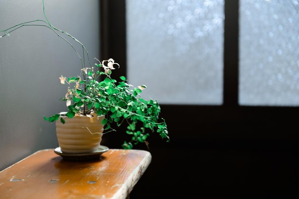 Villa Nanni Saiin Machiya Kyōto Esterno foto